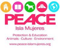 PEACE Isla Mujeres