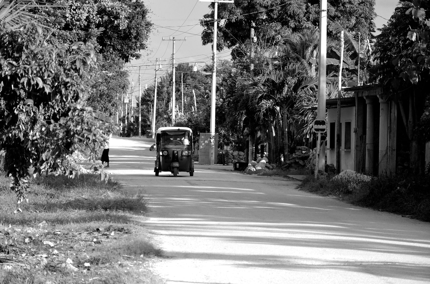 Ojos Mayas Tours