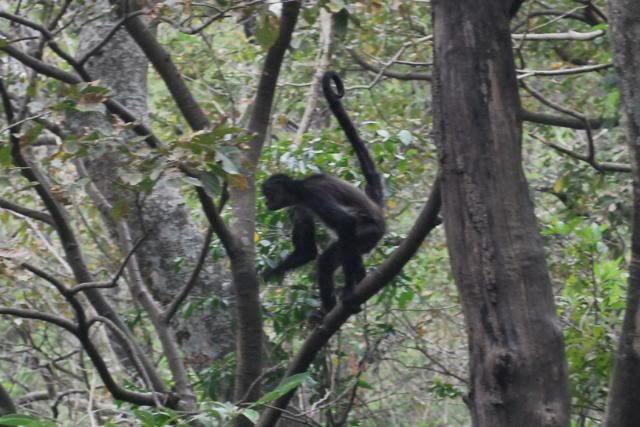 Atitlan Nature Reserve Atitlan Nature Reserve