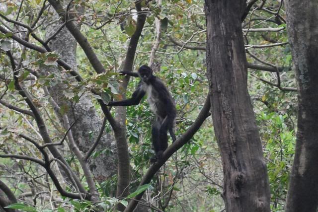 Atitlan Nature Reserve Atitlan Nature Reserve