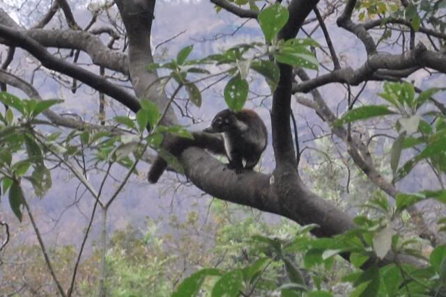 Atitlan Nature Reserve Atitlan Nature Reserve