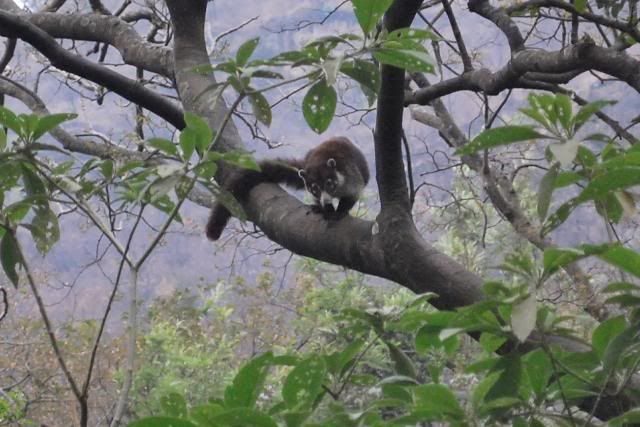 Atitlan Nature Reserve Atitlan Nature Reserve