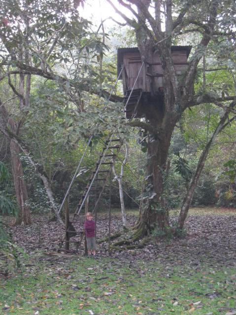 Tree House at Finca Ixobel Tree House at Finca Ixobel