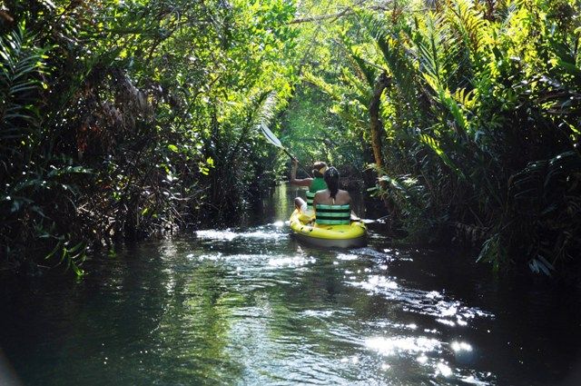 Kayaking in cenotes