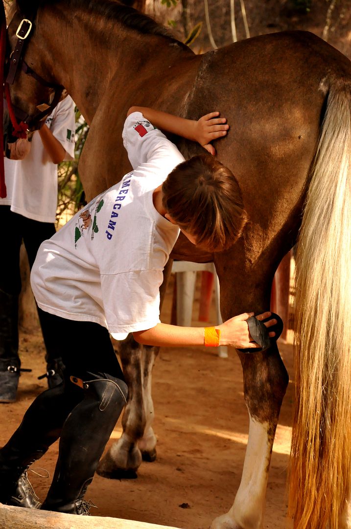 Pony Camp Playa del Carmen Pony Camp Playa del Carmen