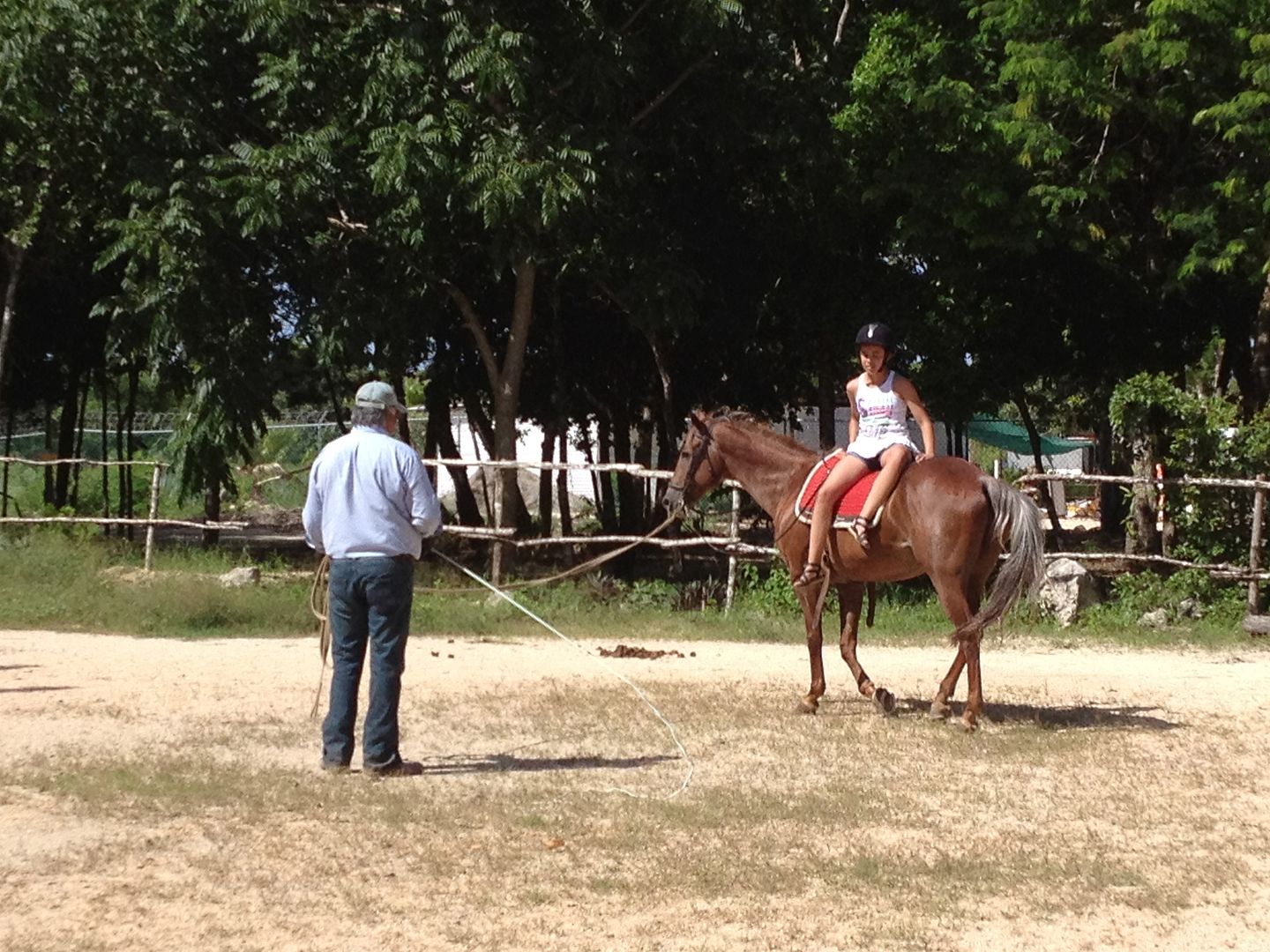 Horseback Riding Playa del Carmen Horseback Riding Playa del Carmen
