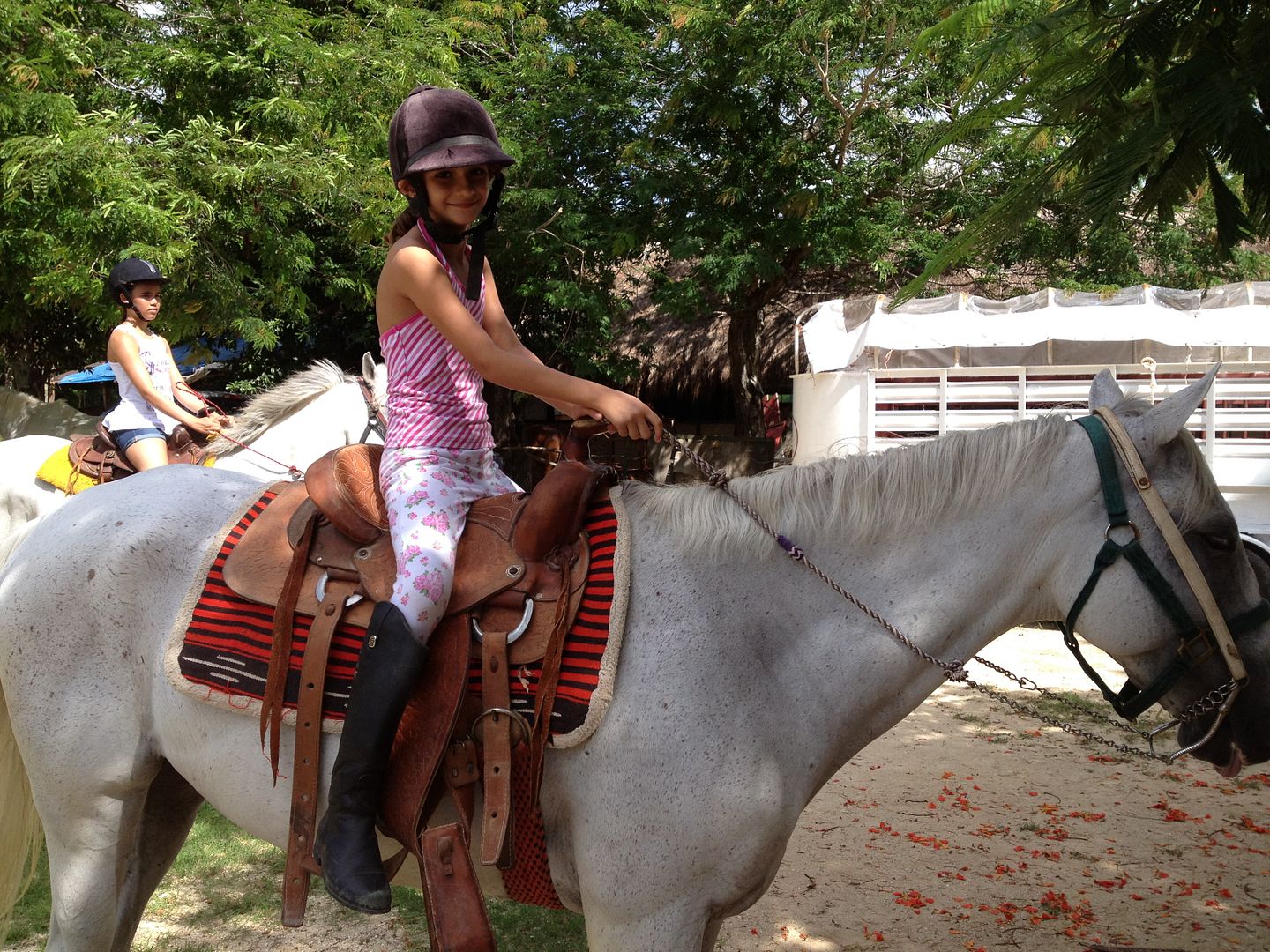 Summer Camp Playa del Carmen Summer Camp Playa del Carmen
