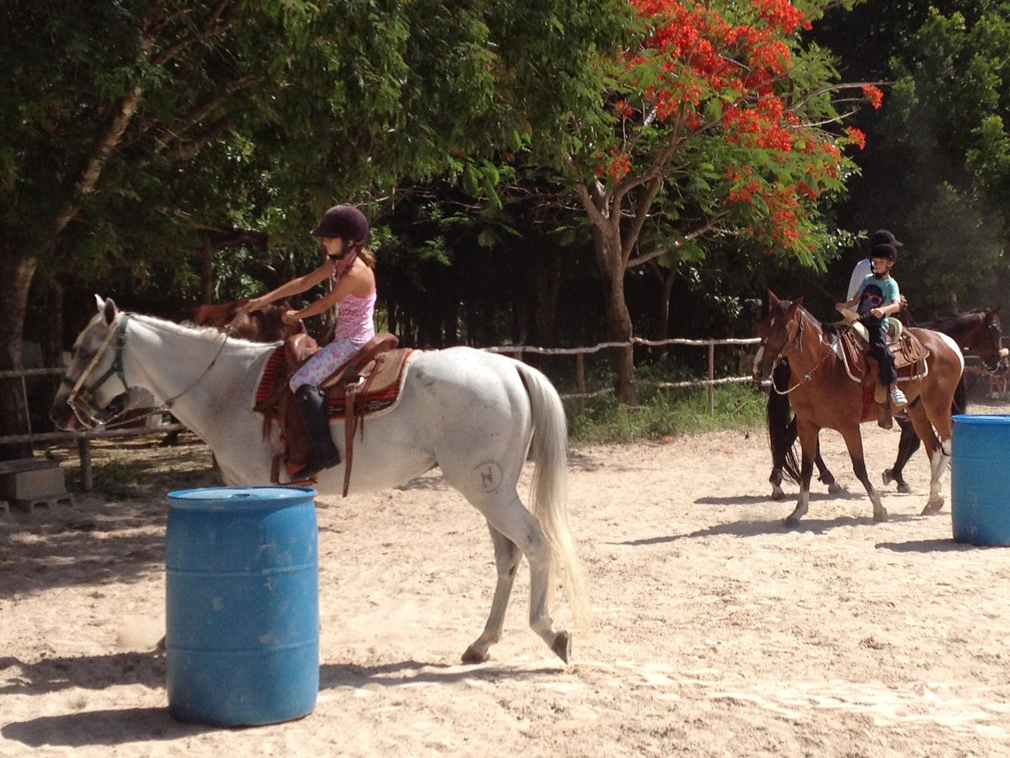 Playa del Carmen Summer Camps Playa del Carmen Summer Camps
