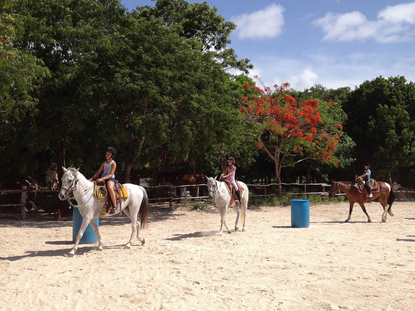 Summer Camp Playa del Carmen Summer Camp Playa del Carmen