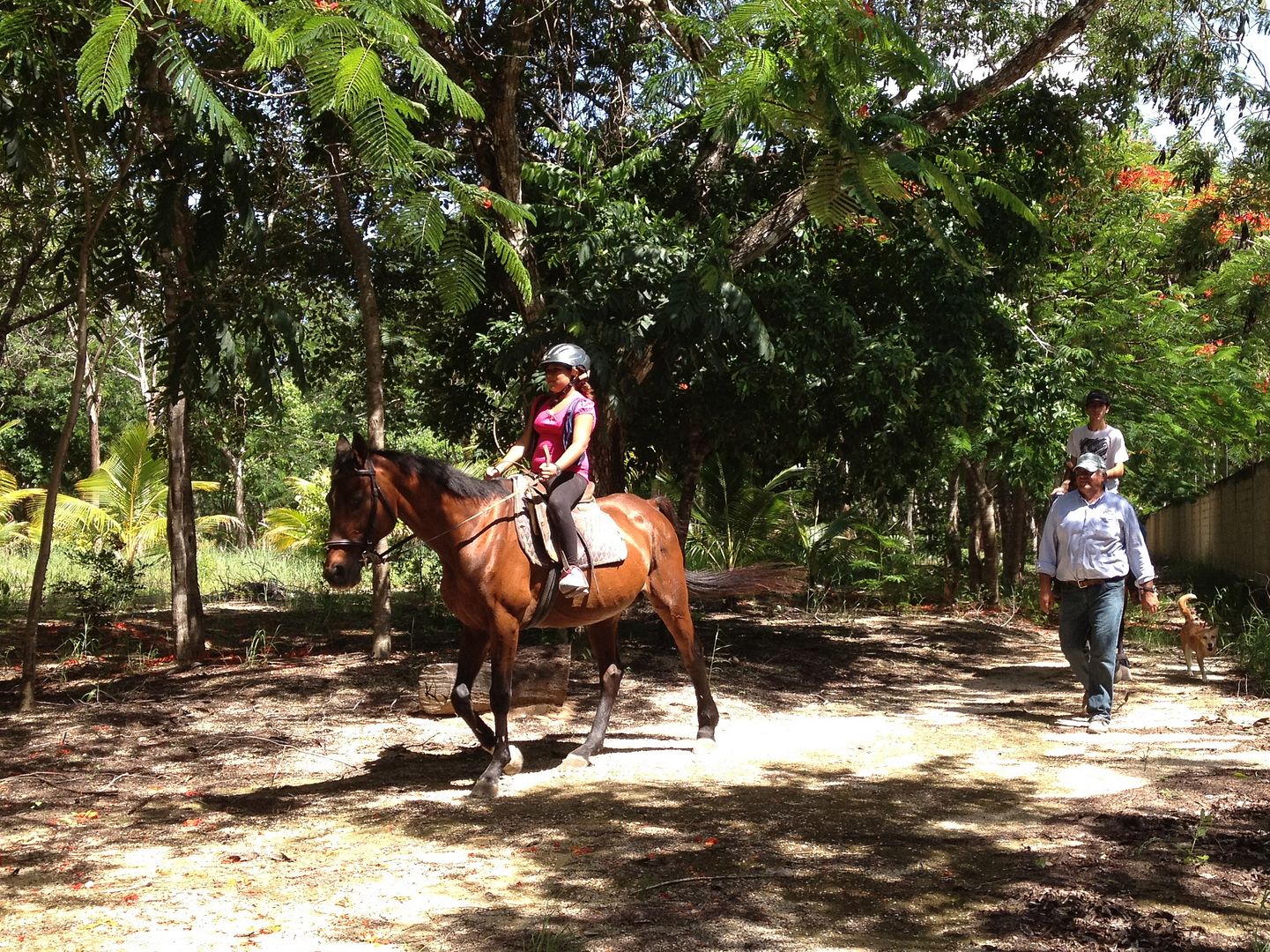 Playa del Carmen Stables Playa del Carmen Stables