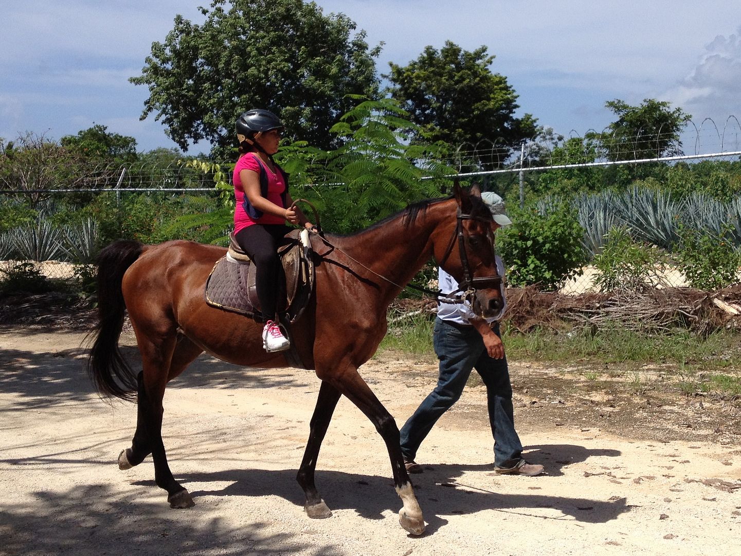 Summer Camp Playa del Carmen Summer Camp Playa del Carmen