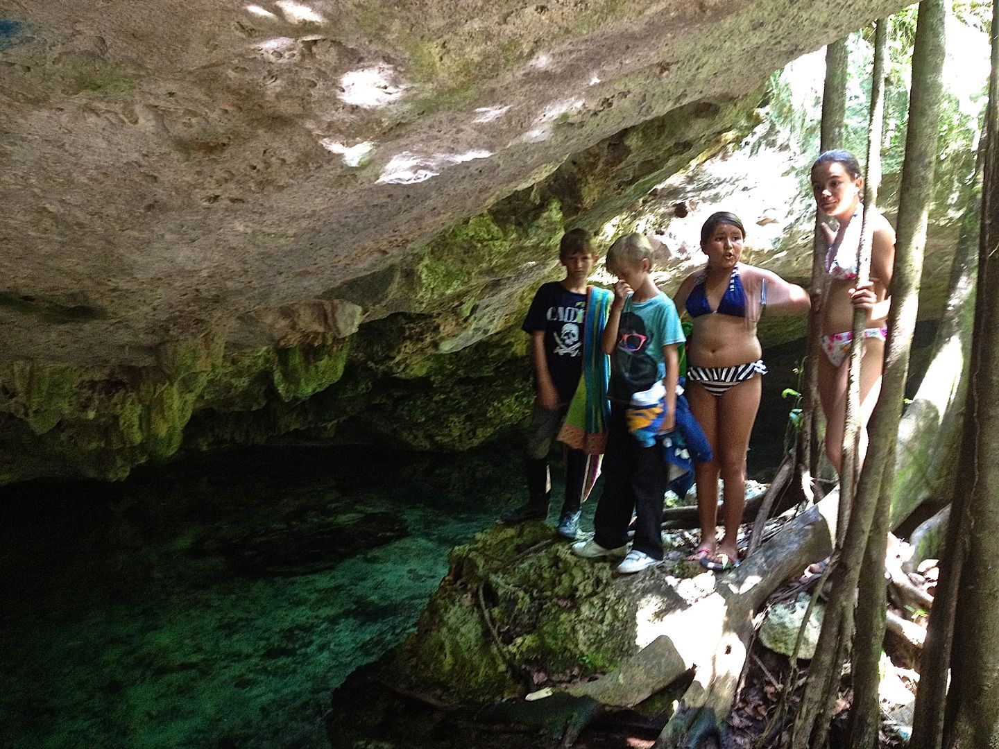 Cenotes Playa del Carmen Cenotes Playa del Carmen