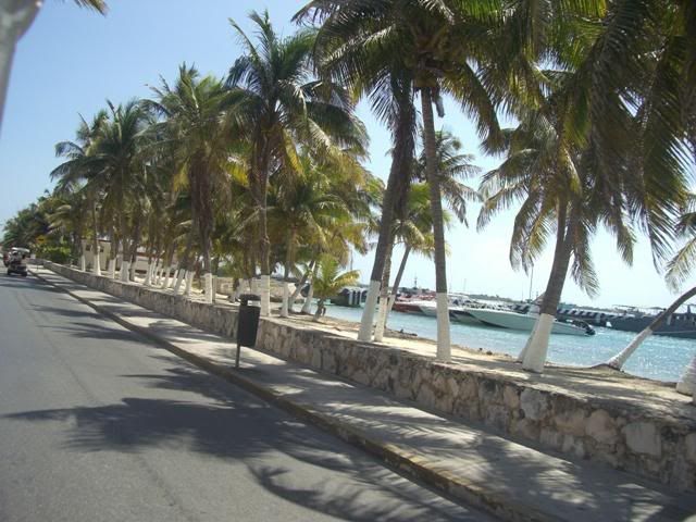 Isla Mujeres Real Estate