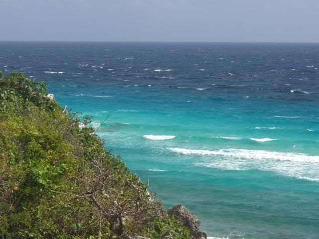 Isla Mujeres Real Estate