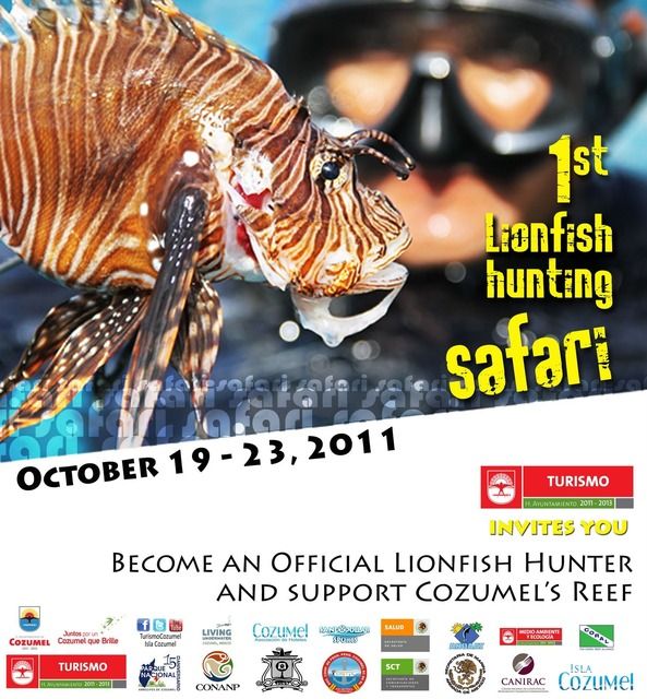 lionfish Hunting Safari