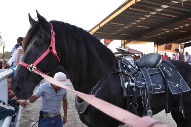 Tizimin Feria de Caballos Tizimin Feria de Caballos