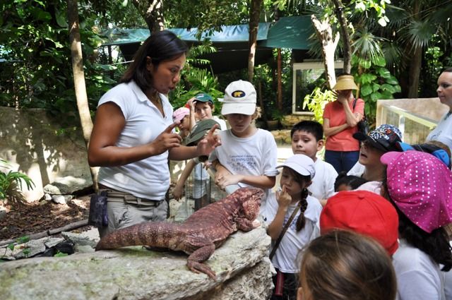Crococun Puerto Morelos
