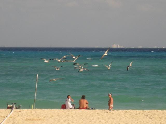 Parks in Playa del Carmen Parks in Playa del Carmen