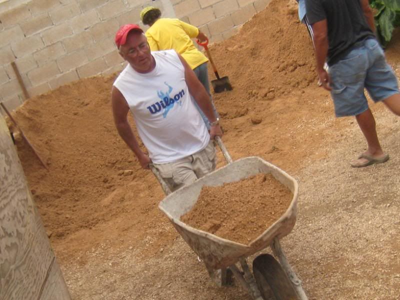 Playa del Carmen Peanut Pet Shelter Playa del Carmen Peanut Pet Shelter