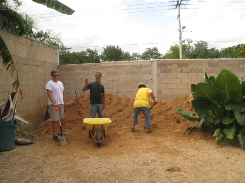 Playa del Carmen Peanut Pet Shelter Playa del Carmen Peanut Pet Shelter