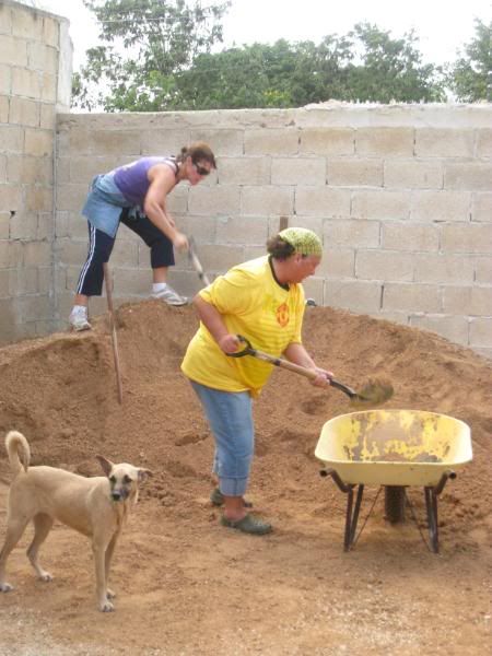 Playa del Carmen Peanut Pet Shelter Playa del Carmen Peanut Pet Shelter