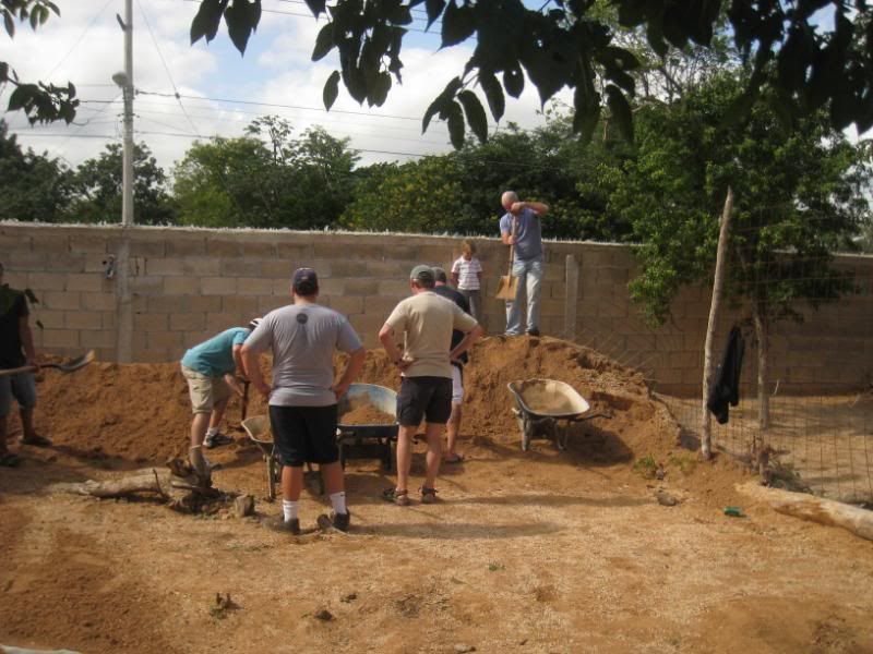 Playa del Carmen Peanut Pet Shelter Playa del Carmen Peanut Pet Shelter