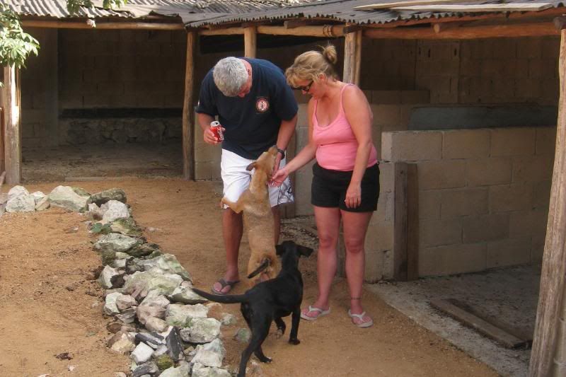 Playa del Carmen Peanut Pet Shelter Playa del Carmen Peanut Pet Shelter