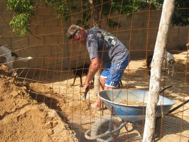 Playa del Carmen Peanut Pet Shelter Playa del Carmen Peanut Pet Shelter