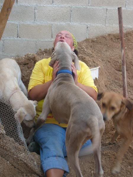 Playa del Carmen Peanut Pet Shelter Playa del Carmen Peanut Pet Shelter