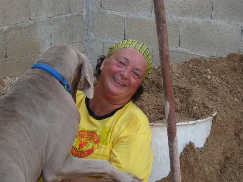 Playa del Carmen Peanut Pet Shelter Playa del Carmen Peanut Pet Shelter