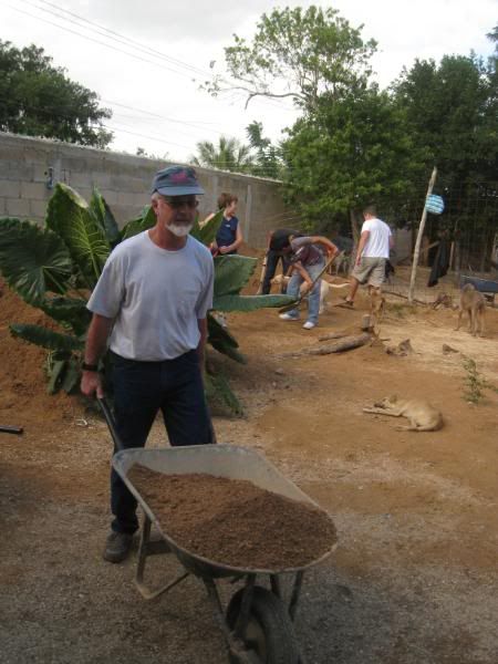 Playa del Carmen Peanut Pet Shelter Playa del Carmen Peanut Pet Shelter