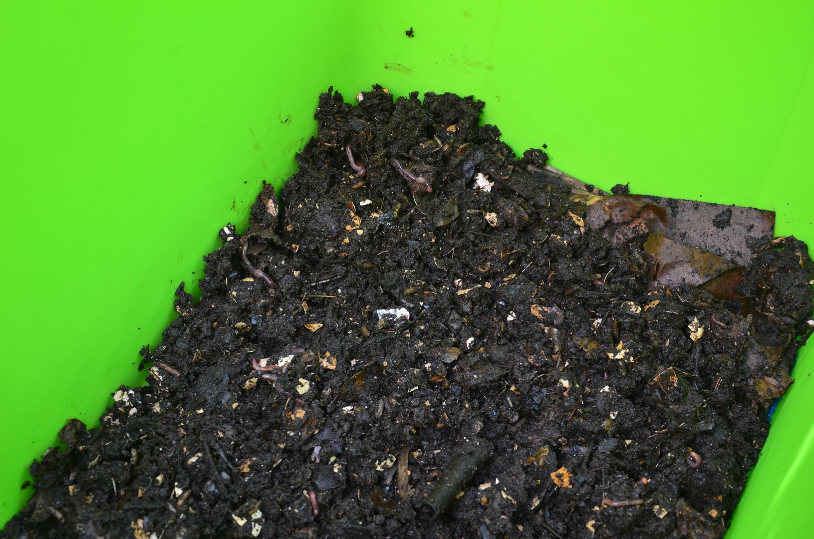 Vermicomposting in Mexico