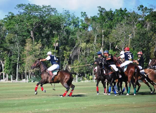 Polo in Mexico Polo in Mexico