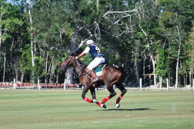 Polo in Mexico Polo in Mexico