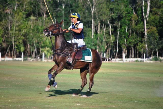 Polo in Mexico Polo in Mexico