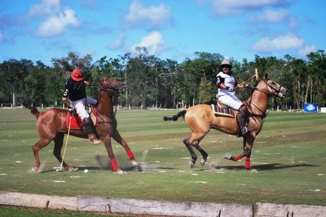 Polo in Mexico Polo in Mexico