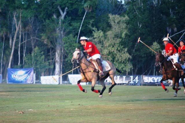 Polo in Mexico Polo in Mexico