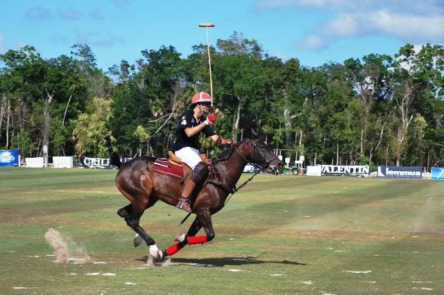 Polo in Mexico Polo in Mexico