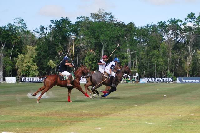 Polo in Mexico Polo in Mexico