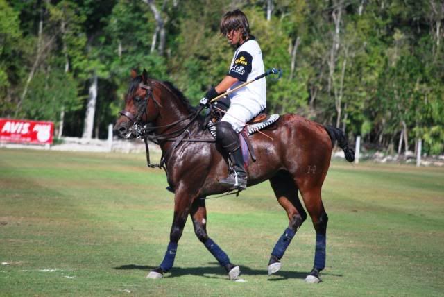 Polo in Mexico Polo in Mexico