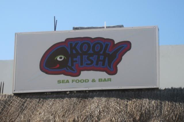 Kool Fish in Playa del Carmen