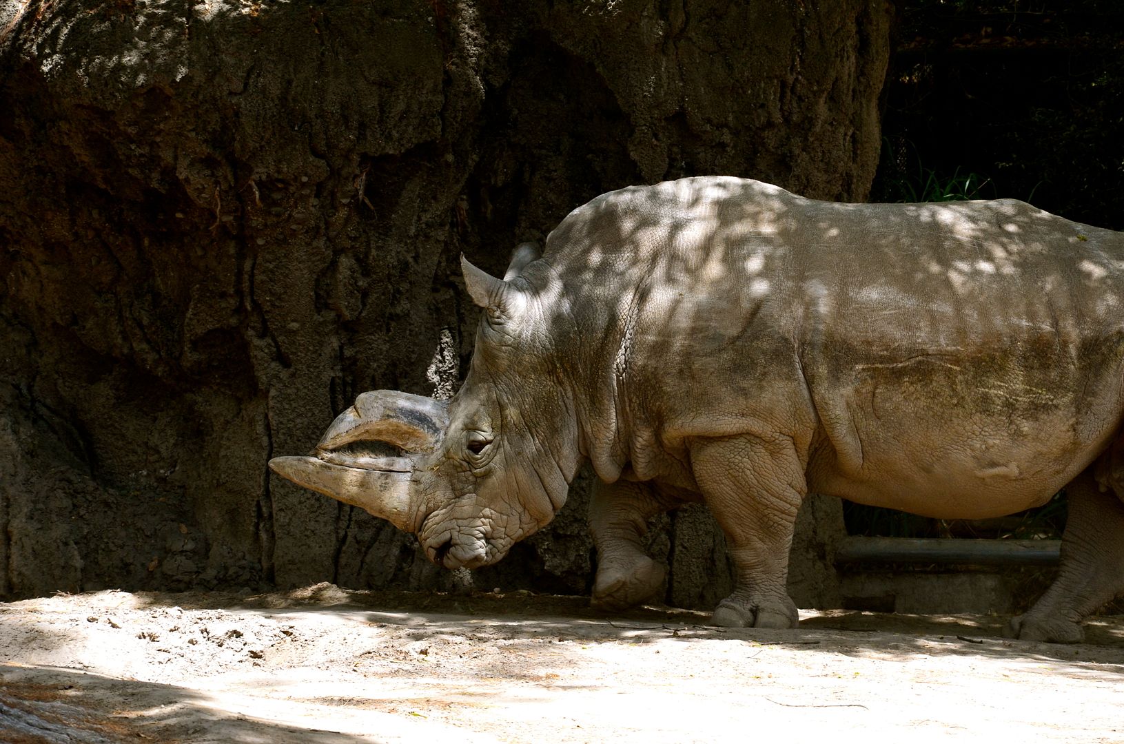 Mexico City Zoo Mexico City Zoo