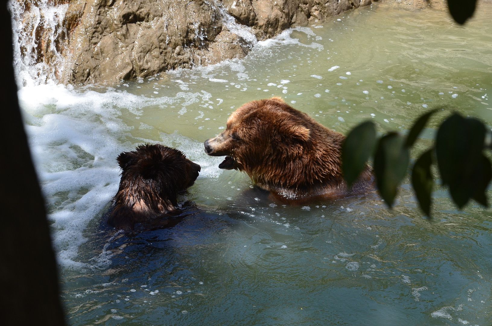 Mexico City Zoo
