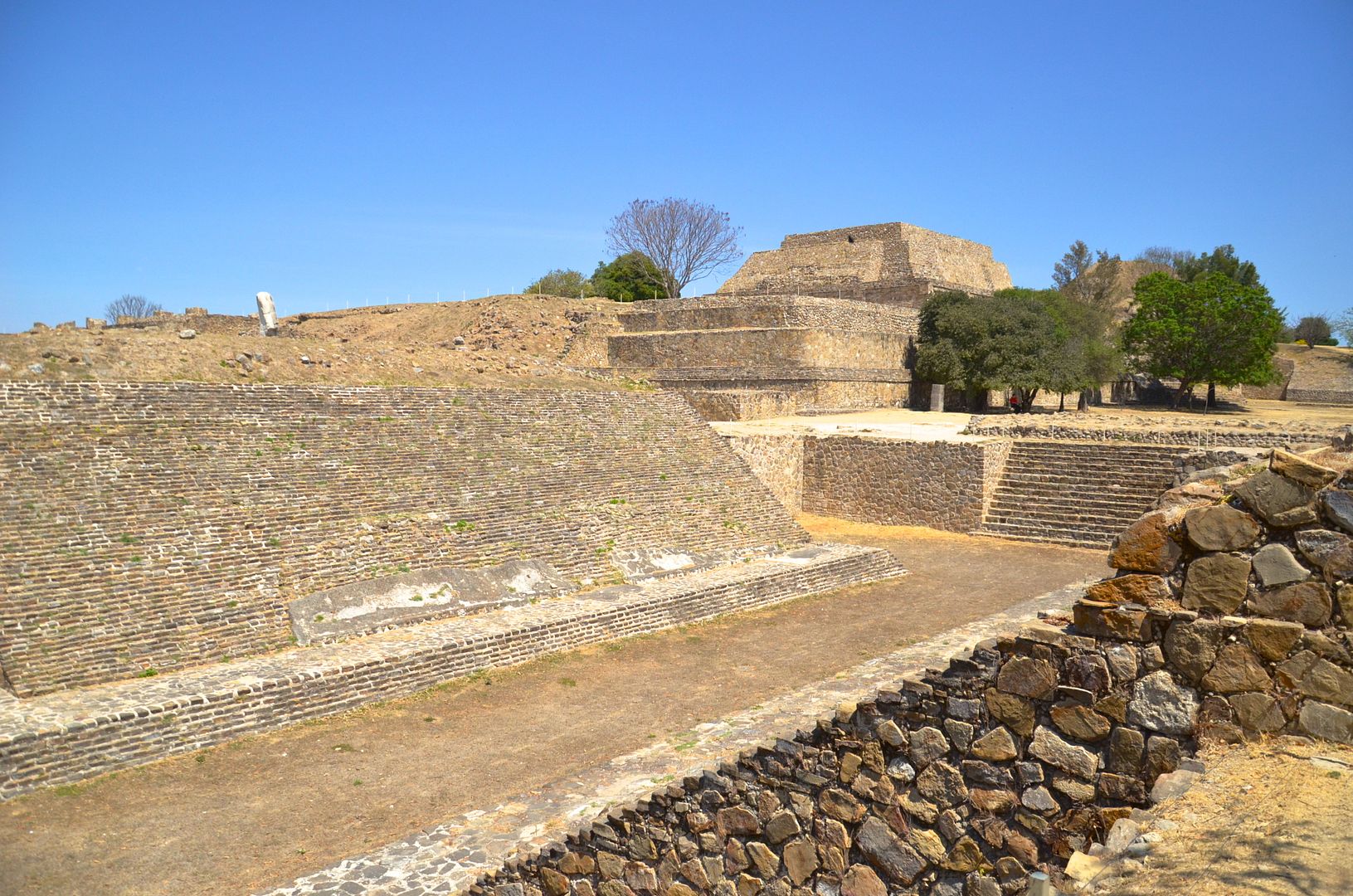 Oaxaca Trip Report Mont Alban Oaxaca Trip Report Mont Alban
