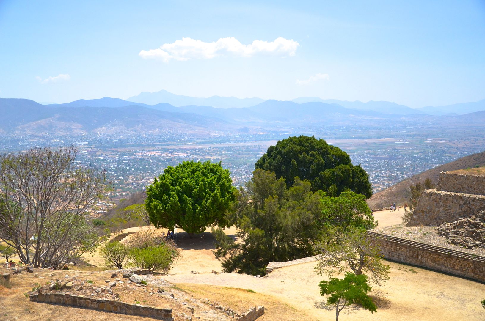 Oaxaca Trip Report Mont Alban