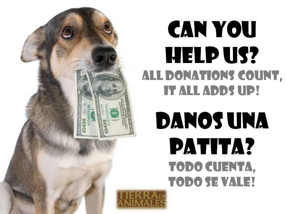Donate to Tierra de Animales