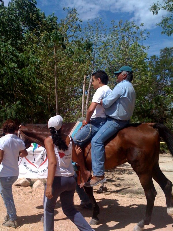 Equine Therapy Playa del Carmen