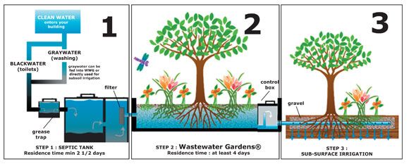Wastewater Garden System