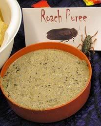 Cockroach Puree Halloween Dip Recipe