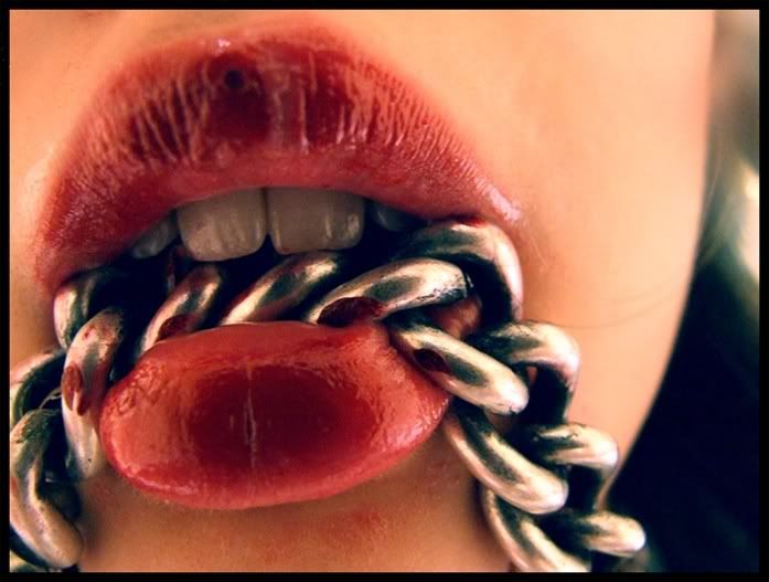 Dog chain Pictures, Images and Photos